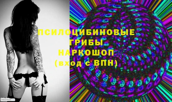 мдпв Няндома