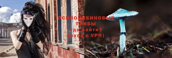 гашик Нязепетровск