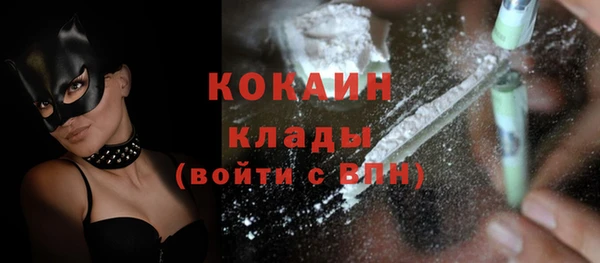 мдпв Няндома