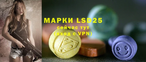 мдпв Няндома