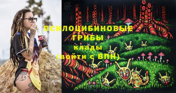 бутират Нягань