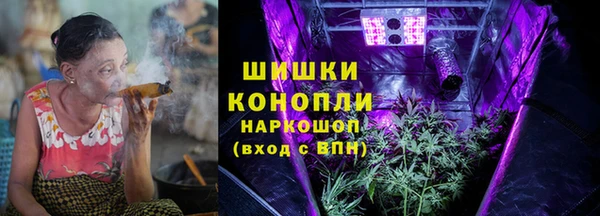 мдпв Няндома