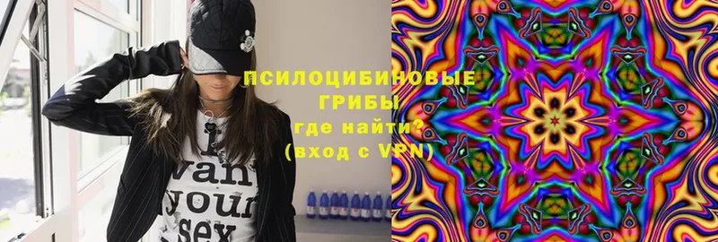 Псилоцибиновые грибы Psilocybe  Фёдоровский 