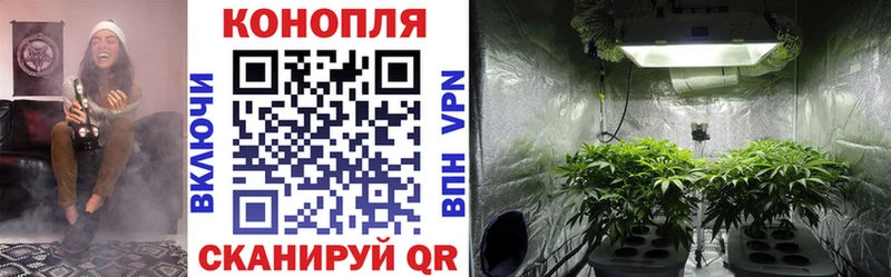omg зеркало  наркотики  Фёдоровский  Бошки Шишки LSD WEED 